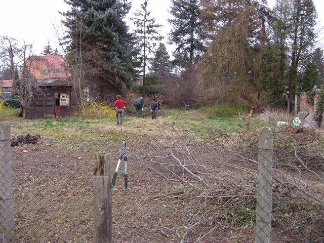 p3150072