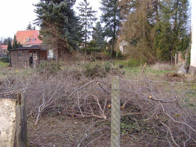 p3150074